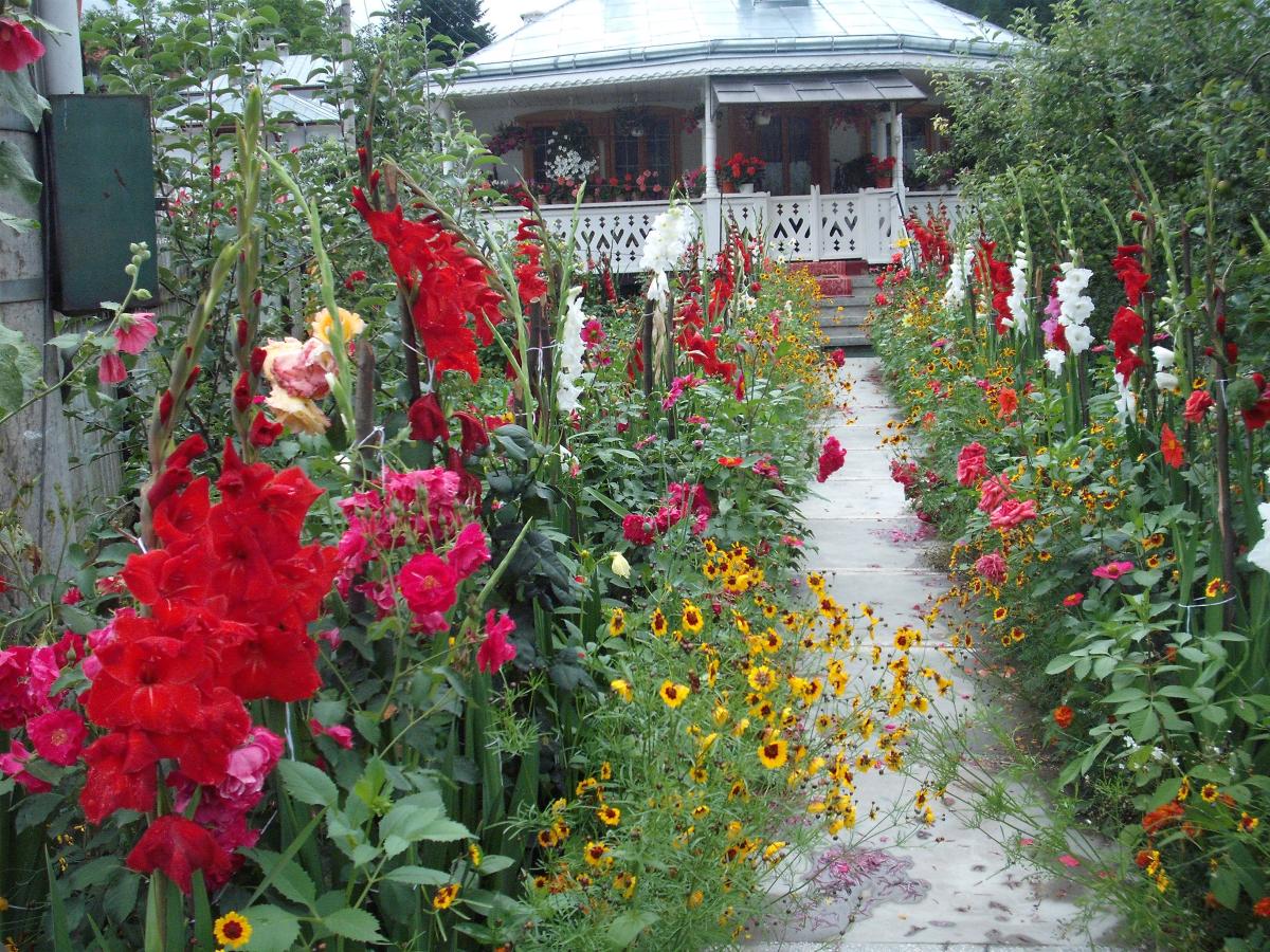 Pelerinaj în Neamț .