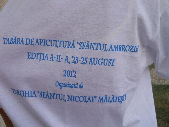 Tricou personalizat primit de fiecare copil participant la tabără ! Tricou personalizat primit de fiecare copil participant la tabără !